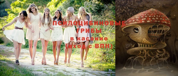 МДПВ Арсеньев