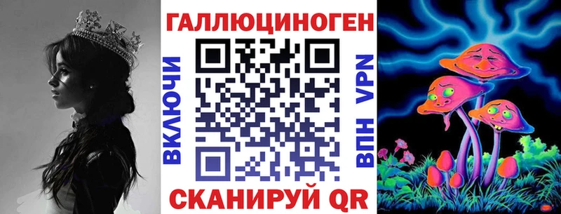 Галлюциногенные грибы Psilocybine cubensis  Новоалександровск 