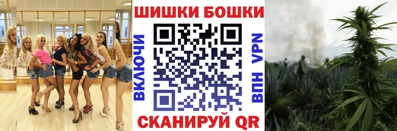 Бошки Шишки индика  KRAKEN tor  Новоалександровск 